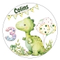 Preview: Tortenbild Tortenaufleger Dino Dinosaurier